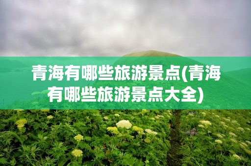 青海有哪些旅游景点(青海有哪些旅游景点大全)