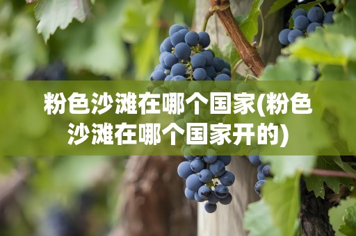 粉色沙滩在哪个国家(粉色沙滩在哪个国家开的)