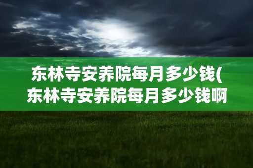 东林寺安养院每月多少钱(东林寺安养院每月多少钱啊)