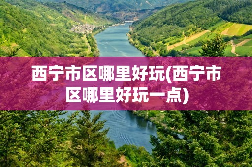 西宁市区哪里好玩(西宁市区哪里好玩一点)