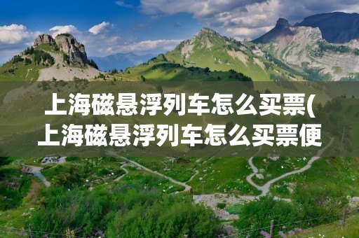 上海磁悬浮列车怎么买票(上海磁悬浮列车怎么买票便宜)
