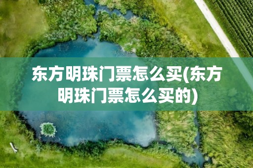 东方明珠门票怎么买(东方明珠门票怎么买的)