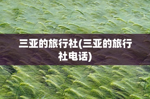 三亚的旅行社(三亚的旅行社电话)