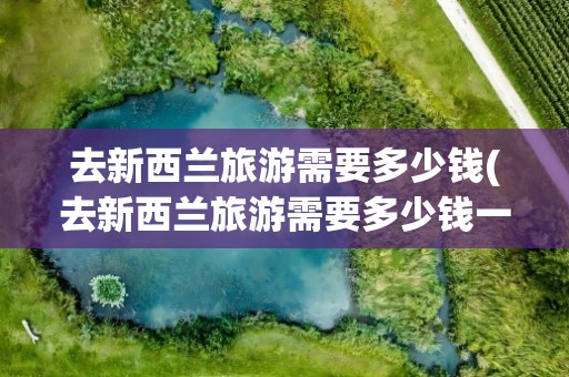 去新西兰旅游需要多少钱(去新西兰旅游需要多少钱一个人)