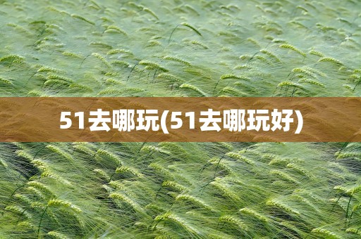 51去哪玩(51去哪玩好)