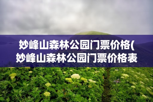 妙峰山森林公园门票价格(妙峰山森林公园门票价格表)