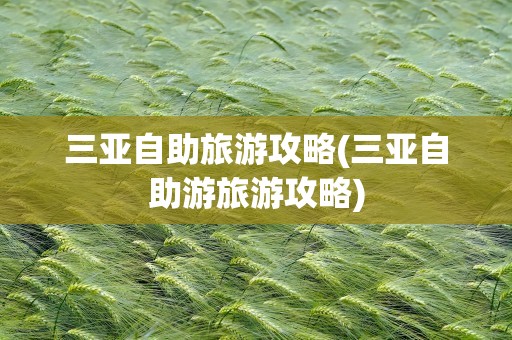 三亚自助旅游攻略(三亚自助游旅游攻略)