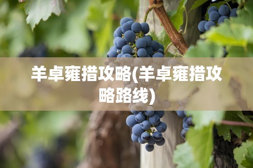 羊卓雍措攻略(羊卓雍措攻略路线)