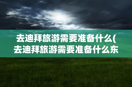 去迪拜旅游需要准备什么(去迪拜旅游需要准备什么东西)