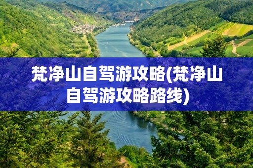 梵净山自驾游攻略(梵净山自驾游攻略路线)