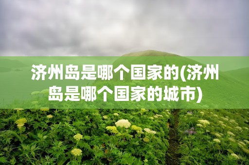 济州岛是哪个国家的(济州岛是哪个国家的城市)