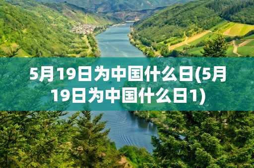 5月19日为中国什么日(5月19日为中国什么日1)
