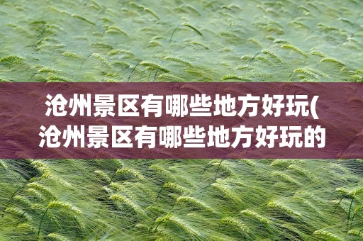 沧州景区有哪些地方好玩(沧州景区有哪些地方好玩的景点)