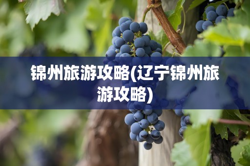 锦州旅游攻略(辽宁锦州旅游攻略)