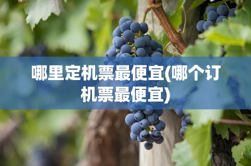哪里定机票最便宜(哪个订机票最便宜)