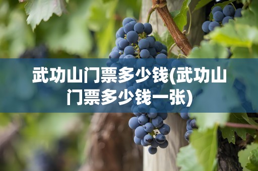 武功山门票多少钱(武功山门票多少钱一张)