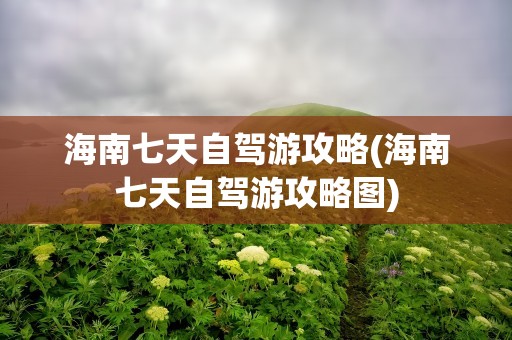 海南七天自驾游攻略(海南七天自驾游攻略图)