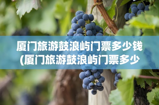 厦门旅游鼓浪屿门票多少钱(厦门旅游鼓浪屿门票多少钱一张)