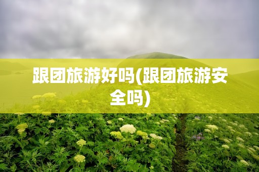 跟团旅游好吗(跟团旅游安全吗)