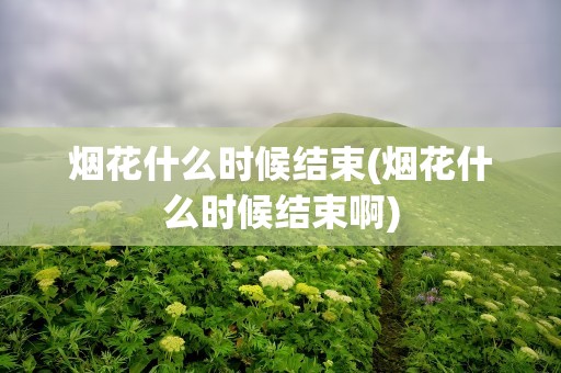烟花什么时候结束(烟花什么时候结束啊)