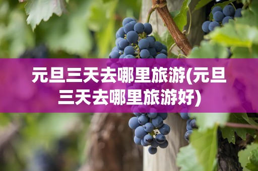 元旦三天去哪里旅游(元旦三天去哪里旅游好)