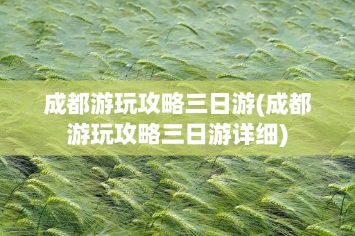 成都游玩攻略三日游(成都游玩攻略三日游详细)
