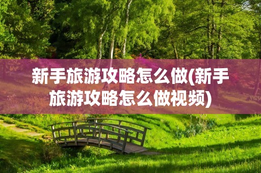 新手旅游攻略怎么做(新手旅游攻略怎么做视频)