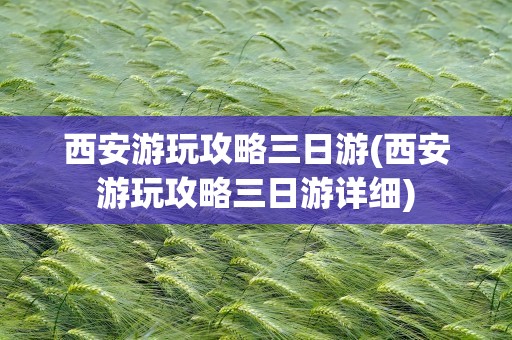 西安游玩攻略三日游(西安游玩攻略三日游详细)