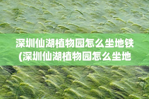 深圳仙湖植物园怎么坐地铁(深圳仙湖植物园怎么坐地铁去)