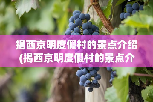 揭西京明度假村的景点介绍(揭西京明度假村的景点介绍图片)