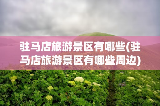 驻马店旅游景区有哪些(驻马店旅游景区有哪些周边)
