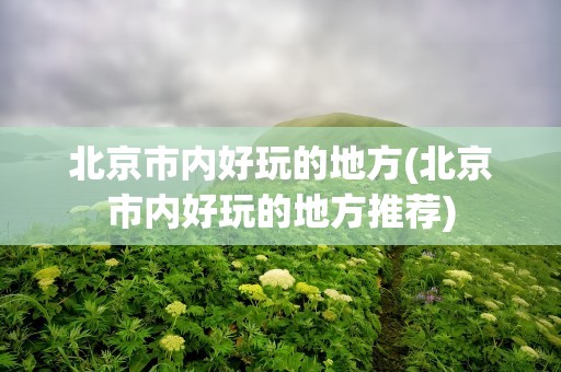 北京市内好玩的地方(北京市内好玩的地方推荐)