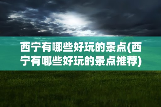 西宁有哪些好玩的景点(西宁有哪些好玩的景点推荐)