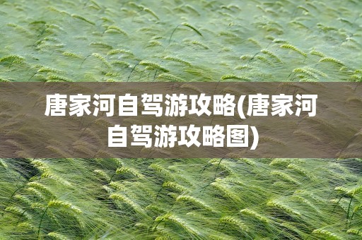 唐家河自驾游攻略(唐家河自驾游攻略图)