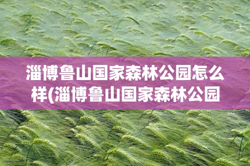 淄博鲁山国家森林公园怎么样(淄博鲁山国家森林公园怎么样好玩吗)