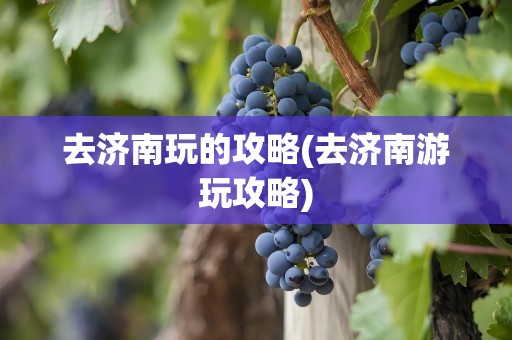 去济南玩的攻略(去济南游玩攻略)