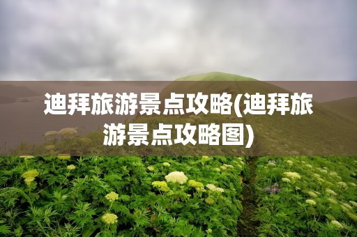 迪拜旅游景点攻略(迪拜旅游景点攻略图)