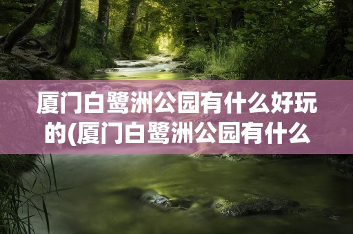 厦门白鹭洲公园有什么好玩的(厦门白鹭洲公园有什么好玩的吗)