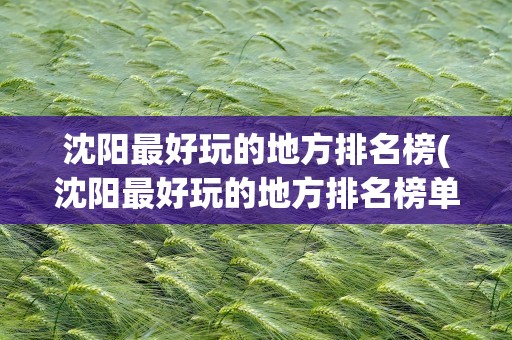 沈阳最好玩的地方排名榜(沈阳最好玩的地方排名榜单)
