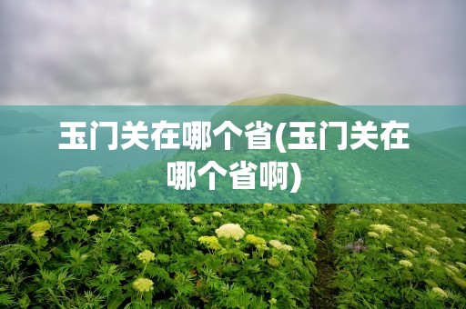 玉门关在哪个省(玉门关在哪个省啊)