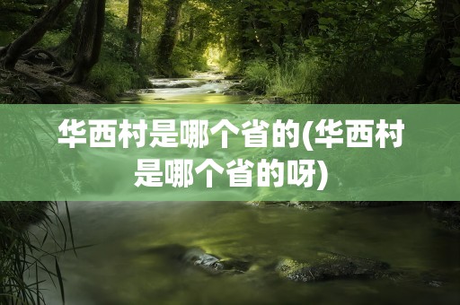 华西村是哪个省的(华西村是哪个省的呀)