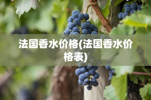 法国香水价格(法国香水价格表)