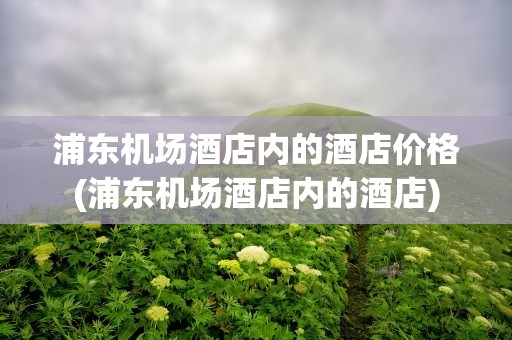 浦东机场酒店内的酒店价格(浦东机场酒店内的酒店)