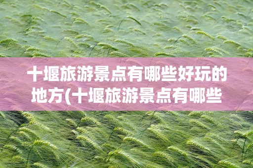 十堰旅游景点有哪些好玩的地方(十堰旅游景点有哪些好玩的地方推荐)