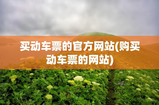 买动车票的官方网站(购买动车票的网站)