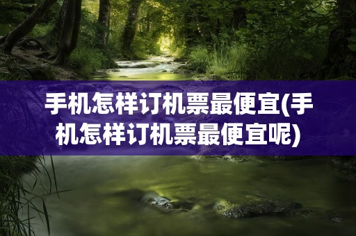 手机怎样订机票最便宜(手机怎样订机票最便宜呢)