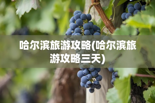 哈尔滨旅游攻略(哈尔滨旅游攻略三天)