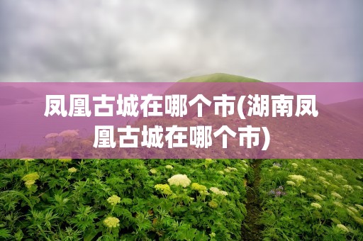 凤凰古城在哪个市(湖南凤凰古城在哪个市)