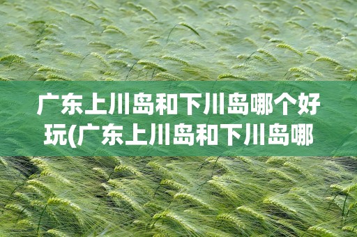 广东上川岛和下川岛哪个好玩(广东上川岛和下川岛哪个好玩些)