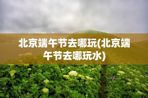 北京端午节去哪玩(北京端午节去哪玩水)